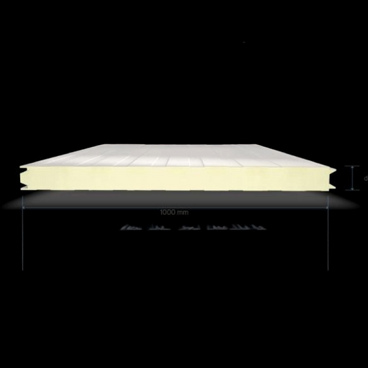 100mmX1000mmX3000mm Cold Store Panel (PIR Insulated)